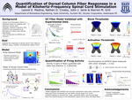 Quantification of dorsal column fiber responses in a model of kilohertz-frequency spinal cord stimulation